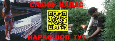гидра Кулебаки