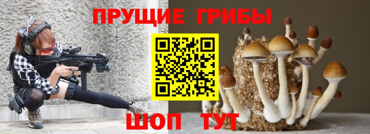 Галлюциногенные грибы MAGIC MUSHROOMS Кисловодск